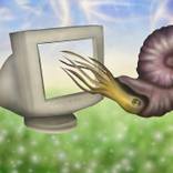 Collection Art for Adding Sparkle