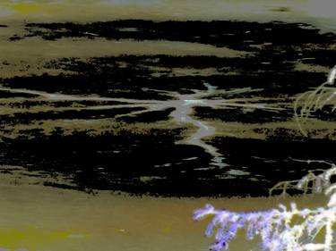 Original Abstract Expressionism Nature Photography by Dana Oppenberg