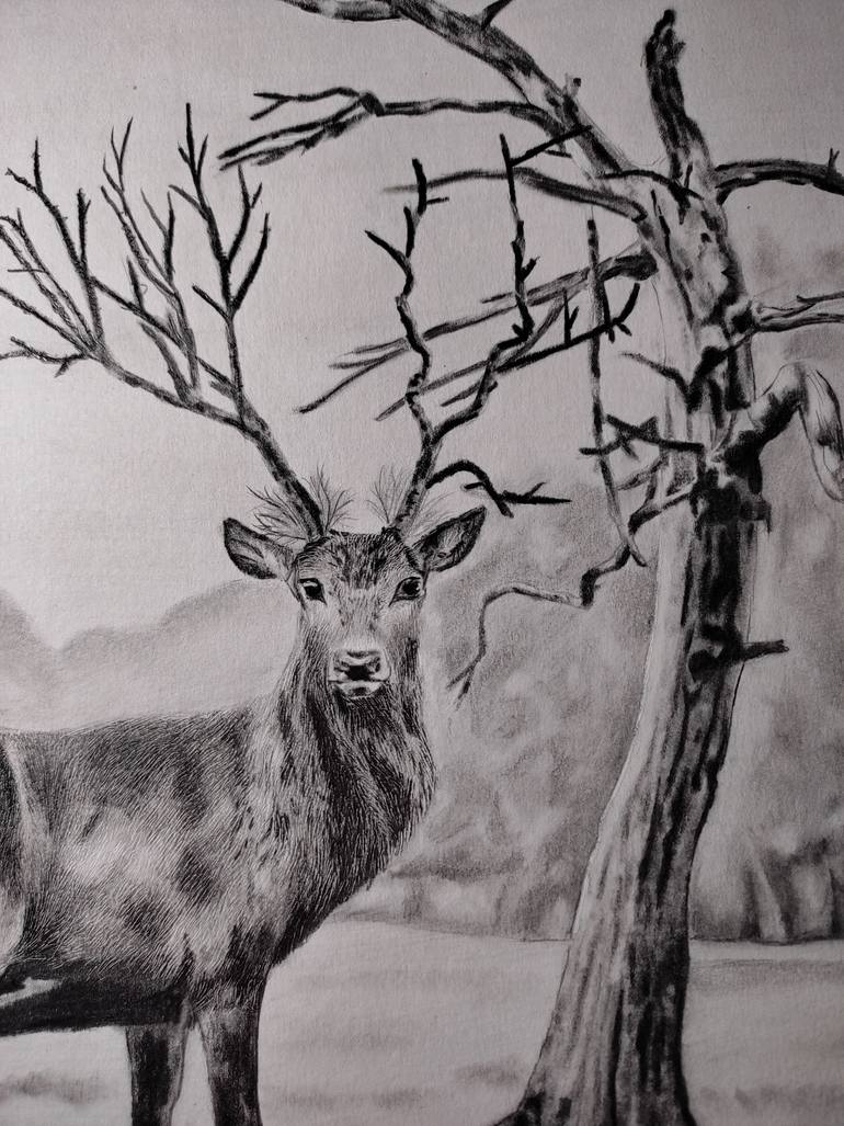 Original Photorealism Nature Drawing by Anushka Yadav