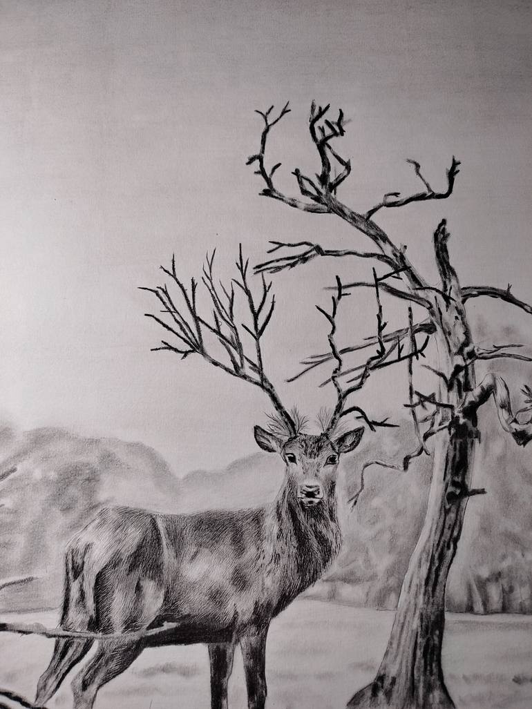 Original Photorealism Nature Drawing by Anushka Yadav