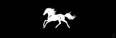 Original Abstract Horse Photography by Bartosz Duraj