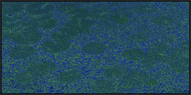 Original Minimalism Nature Digital by Harold Herbert