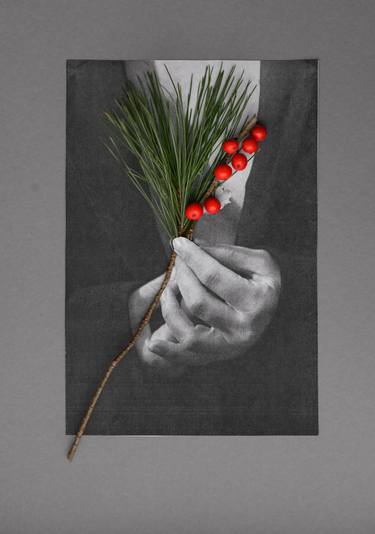 Original Black & White Botanic Photography by Olha Kudina
