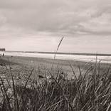 Sandsend Landscape 2014. by Flux Fotos