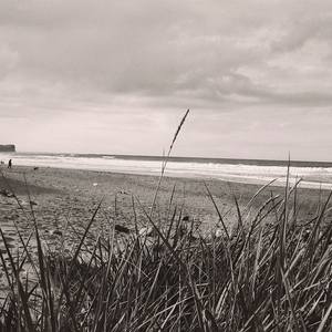 Sandsend Landscape 2014.