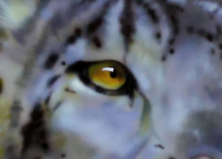 Original Classicism Cats Painting by Viktor Kovalyk