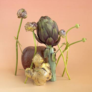 Original Modernism Still Life Photography by Olha Hones