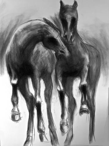 Print of Fine Art Horse Drawings by Jea Devoe