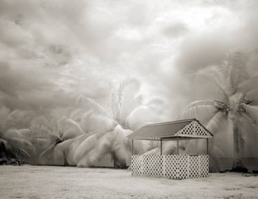 Original Surrealism Nature Photography by Robin Repp