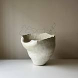 Wire Vase #3 by Anna Shipulina