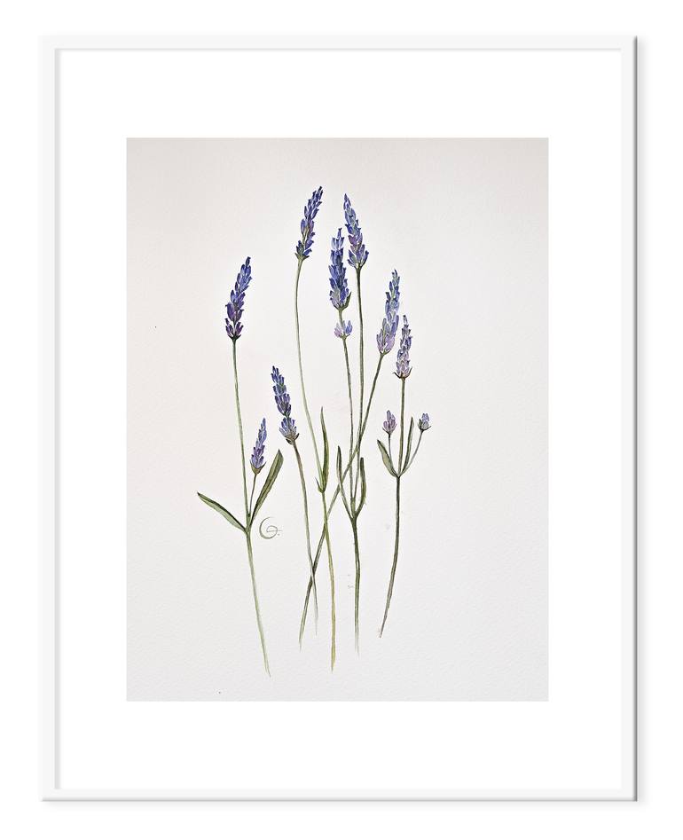 Original Contemporary Floral Painting by Botanical Art Showroom