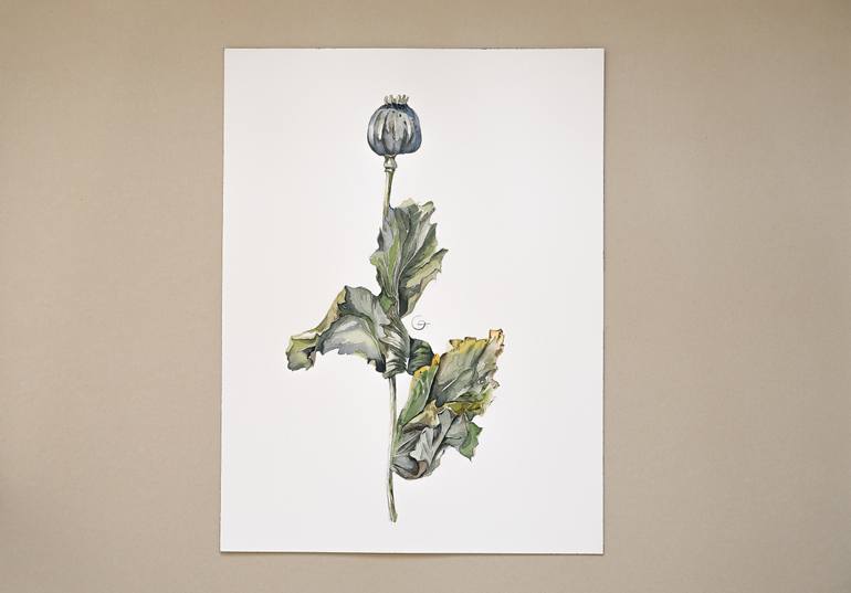 Original Contemporary Floral Painting by Botanical Art Showroom