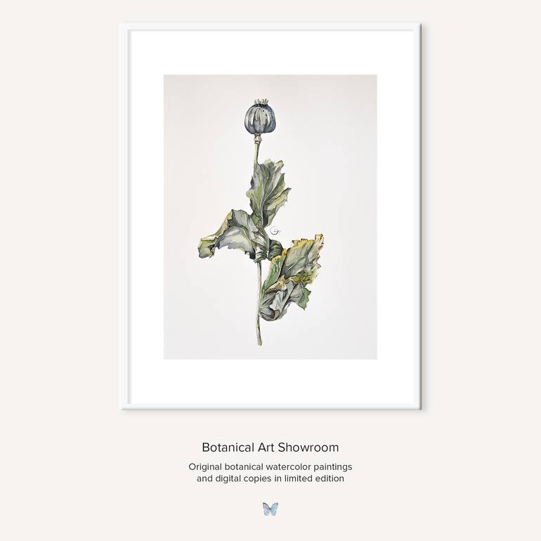 Original Contemporary Floral Painting by Botanical Art Showroom