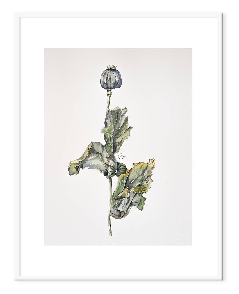 Original Contemporary Floral Painting by Botanical Art Showroom