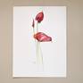 Anthurium, 31x41 cm (2024)
