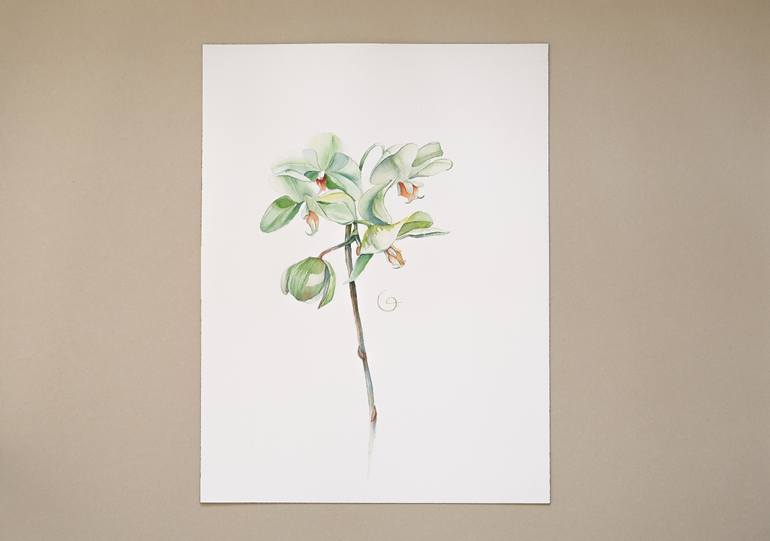 Original Contemporary Floral Painting by Botanical Art Showroom