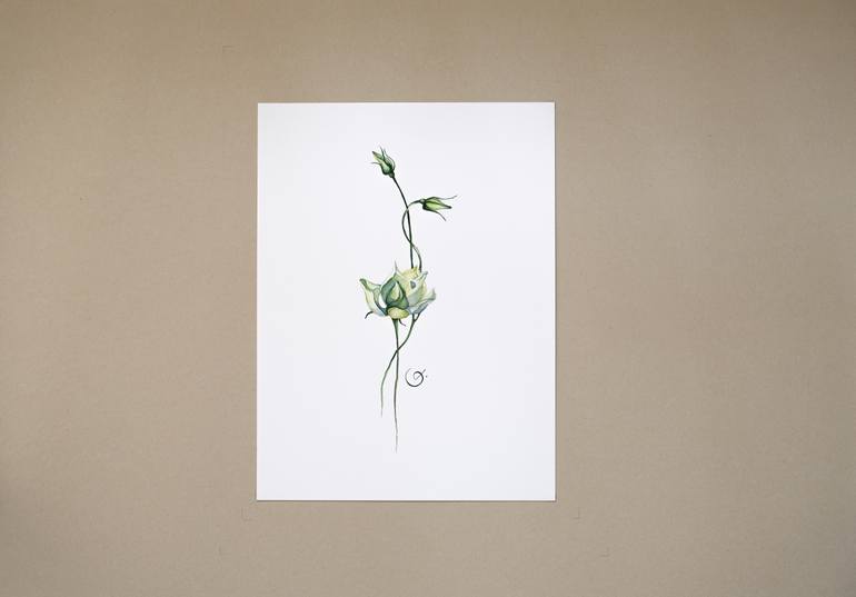 Original Illustration Floral Painting by Botanical Art Showroom
