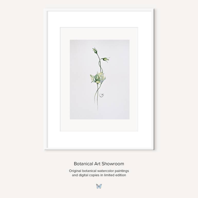 Original Illustration Floral Painting by Botanical Art Showroom
