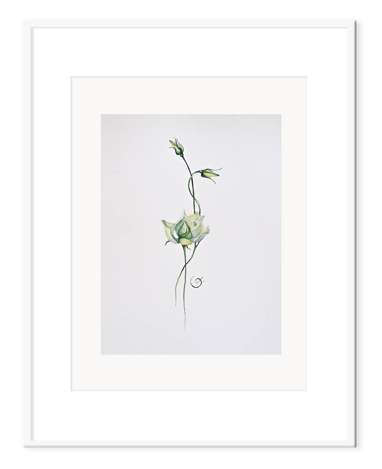 Original Illustration Floral Painting by Botanical Art Showroom