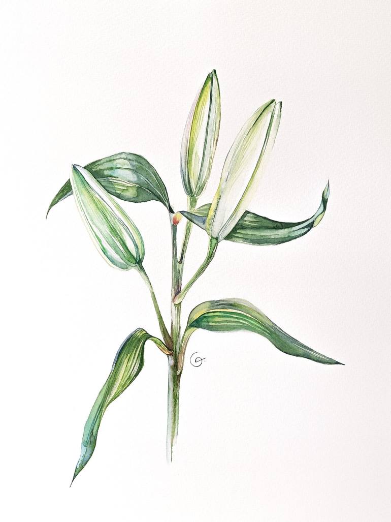 Print of Contemporary Floral Paintings by Botanical Art Showroom