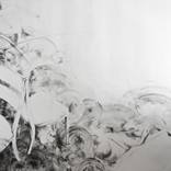 Domesticity by Barbara Obata