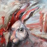 Ask the Rabbit by Barbara Obata