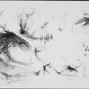 Collection Drawing