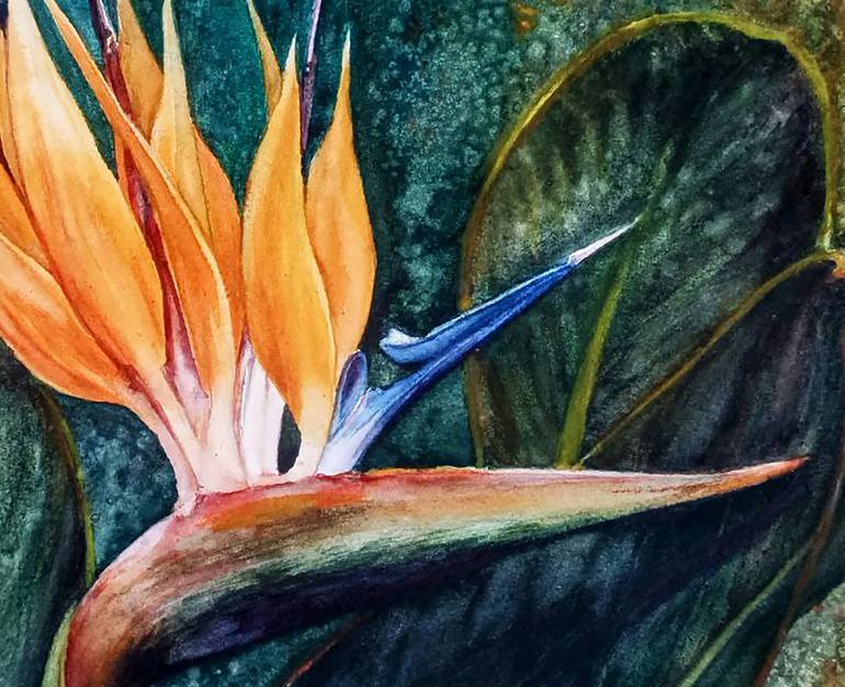 Original Contemporary Floral Painting by Hanna Samoilenko