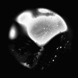 bacteria.7 by danielfromyesterday xx