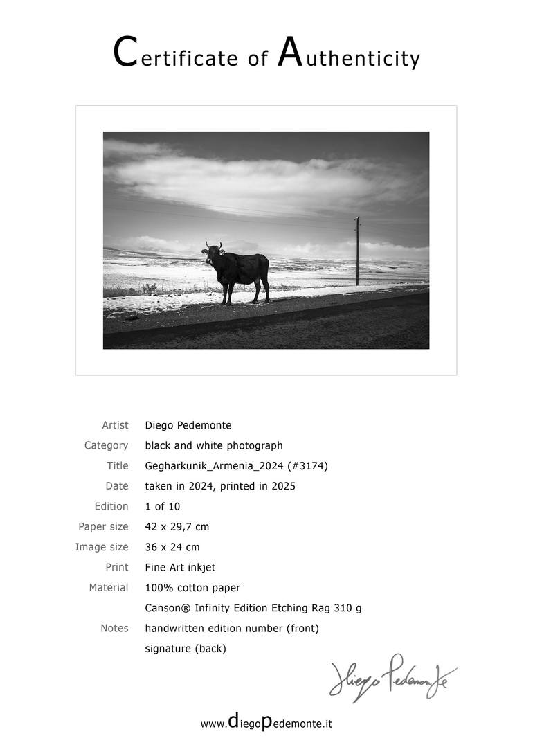 Original Documentary Animal Photography by Diego Pedemonte