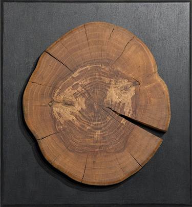 Original Geometric Nature Sculpture by Grzegorz Krol