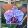 Oil Orchid with Spatula Texture and Airbrushed