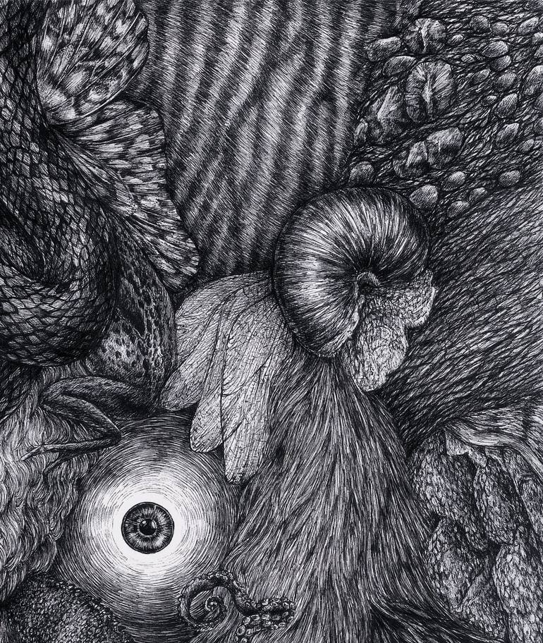 Original Black & White Animal Drawing by Taisiia Bomshtein