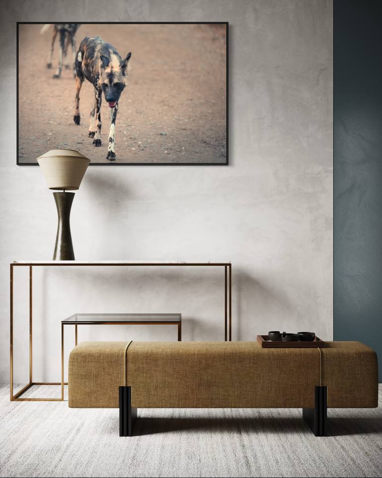 Original Digital Art Animal Photography by Tracy Poulsom