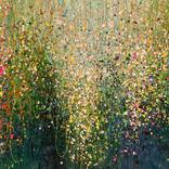 Collection New This Week 12-08-2025