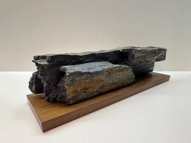 Original Contemporary Nature Sculpture by Filipe Ferreira