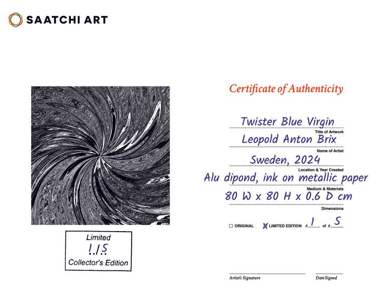 Original Abstract Expressionism Abstract Printmaking by Leopold Anton Brix