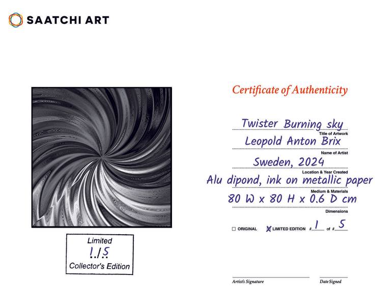 Original Abstract Expressionism Abstract Printmaking by Leopold Anton Brix