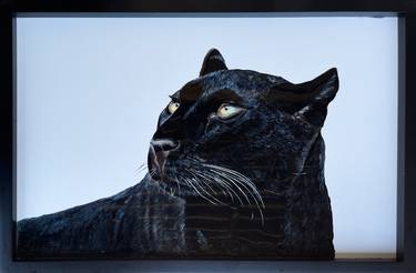 Original Realism Animal Paintings by Olga Kochkina