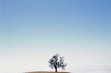 Print of Fine Art Landscape Photography by James Cooper