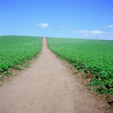 Field With One Road thumb