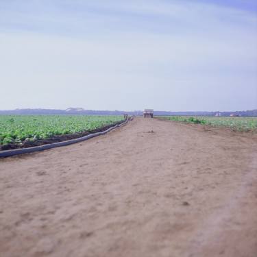 Print of Fine Art Landscape Photography by James Cooper