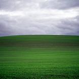 Field #15 by James Cooper