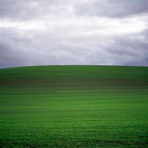 Field #15