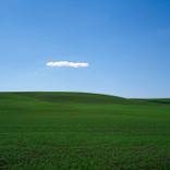 Field #14 by James Cooper