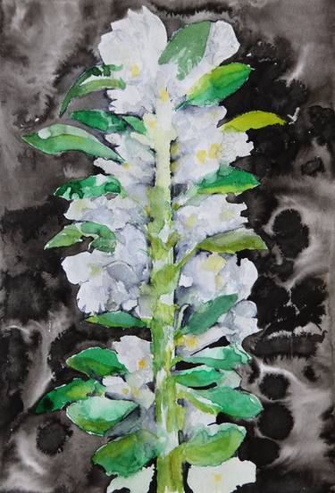 Original Floral Paintings by Magdalena Kalieva