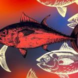 Collection The Other Art Fair London: Sardine Season