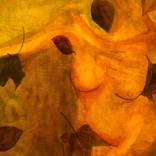 Autumn by Sarah Tolliver