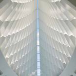Wings of Light by Debra Reabock