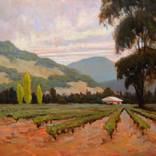 Collection Big Sky Country: Western Landscapes